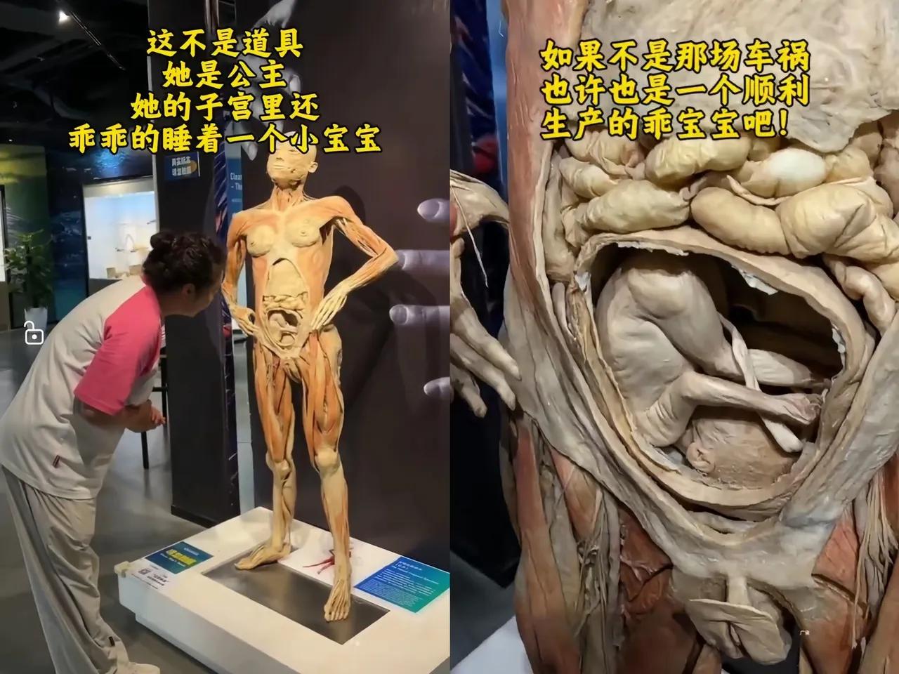 比刷手机看科普更有意义的参观体验——打卡人体博物馆！看到有人打卡，就赶紧过来补