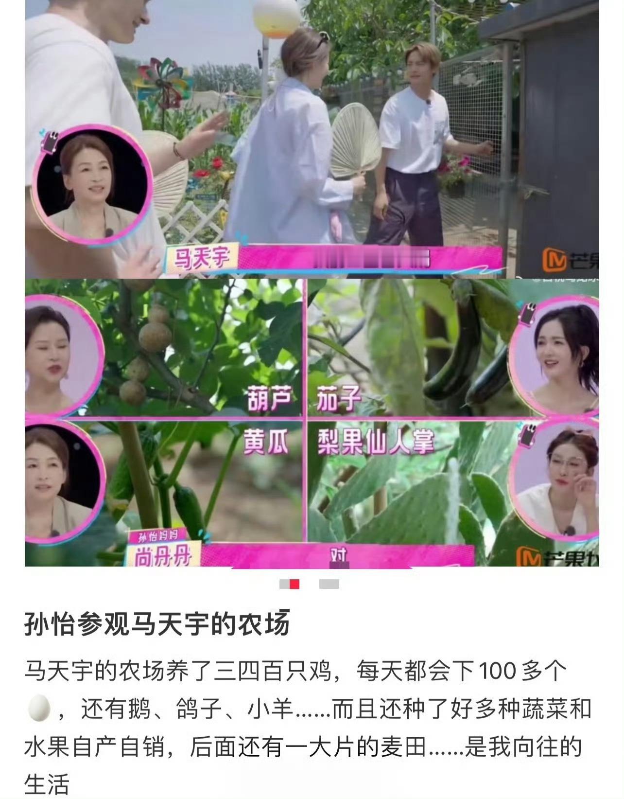 知道马天宇为什么不进组拍戏了天呐马天宇竟然有这么大的农场，三四百只鸡每天下一百