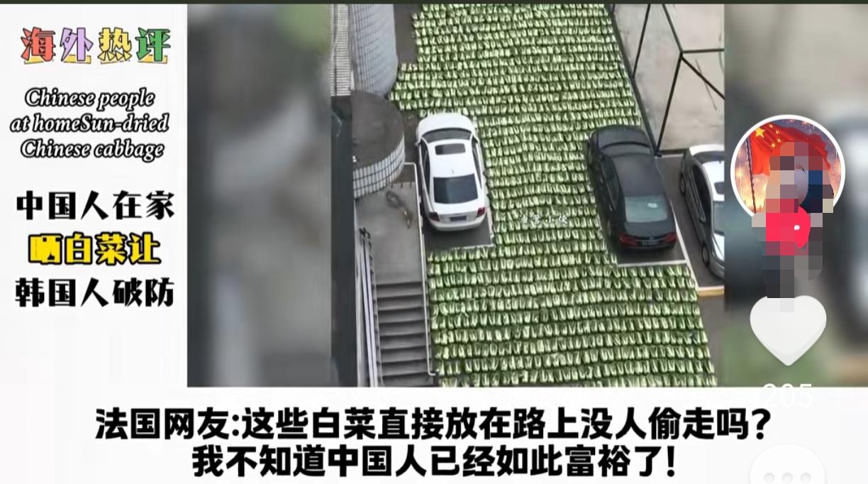 中国东北农村只是晒个白菜，却让多国网友破防，我也想问国外都那么穷吗？都那么不