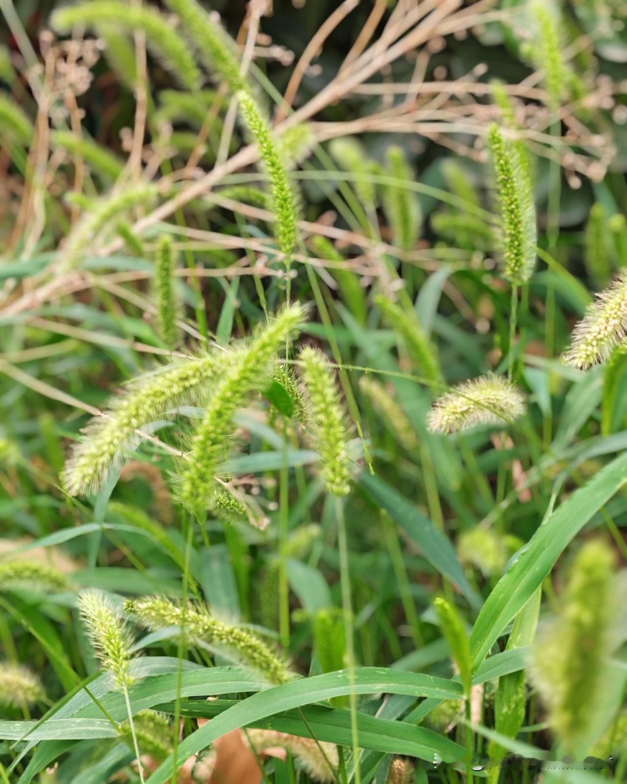 无论坐拥千亿或是身居高位，在生命与健康面前，我们与任何人都没有不同。一旦生命终结
