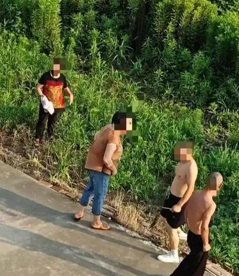 “严查到底！”江苏启东，一女子到自家菜地摘菜，家人吃了刚摘的菜后集体身体不适，前