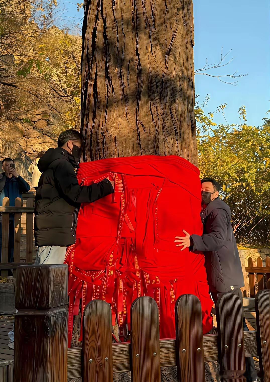 辛柏青去了大孤山李乃文也去了大孤山之前曾志伟，钟镇涛，梁家辉也去了大孤山。于是我