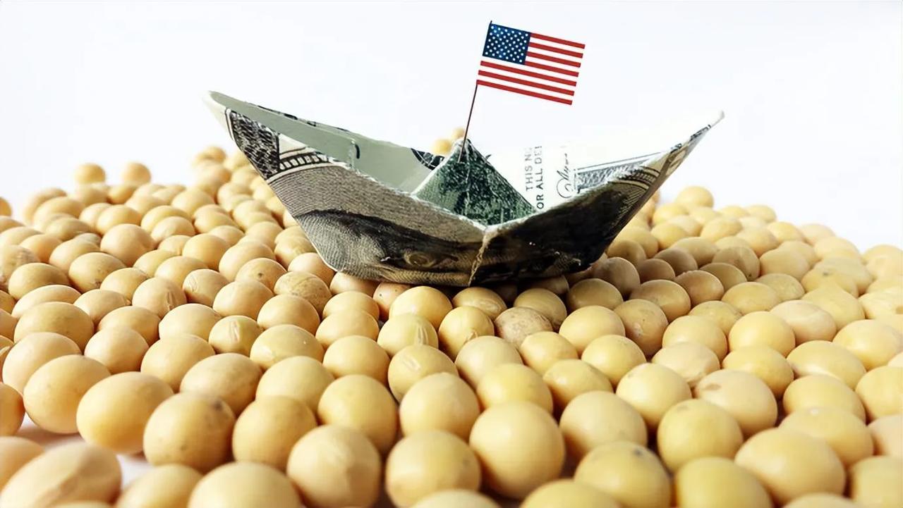 美国轰动了。随着中美贸易的逐渐恢复，目前中国已经预定至少6船的美国大豆，计划在9