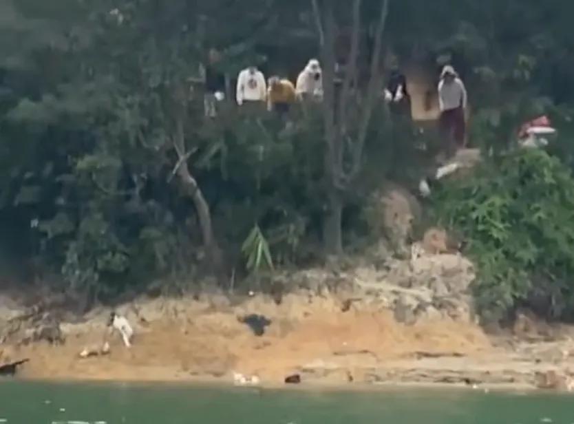 广东清远迎咀水库又出事了！11月1日，一伙人开着小货车，放着大悲咒，把满车猫咪拉