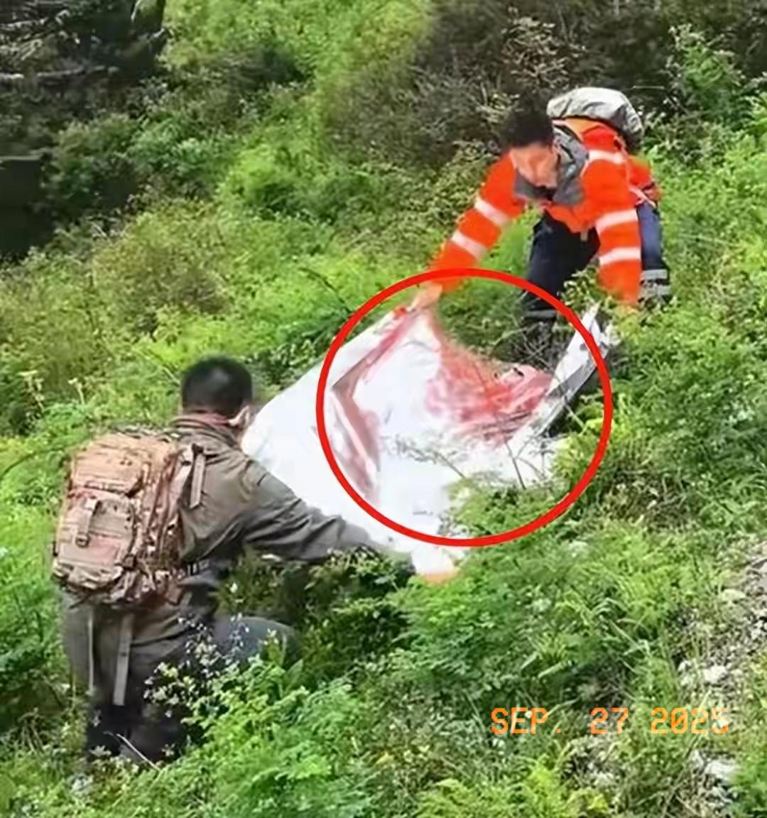 资深驴友坠崖身亡：别让“经验”变成致命的自负一句“晚点回来接孩子”，成了4