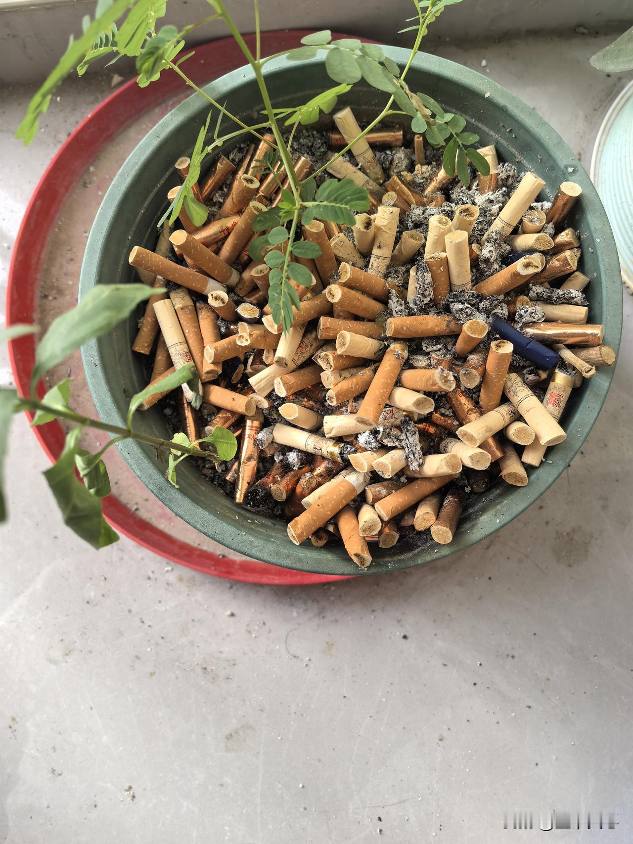 岳父生肺癌体检时发现的，算早期吧，但影响深远，不信者看图片。