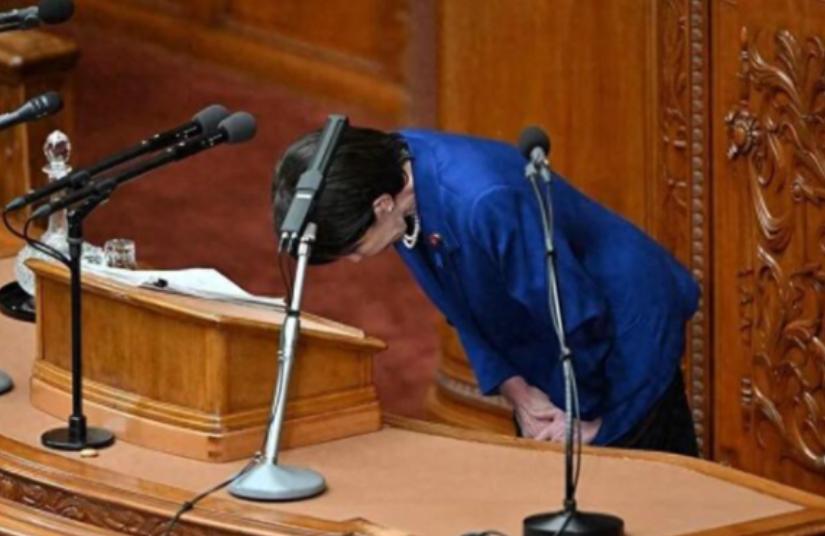 等了这么久，终于等来高市早苗的道歉！12月9日，日本首相、自民党总裁高市