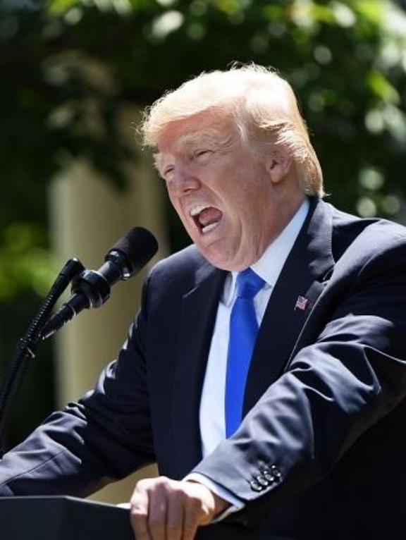 特朗普说了实话，二战胜利跟法国没什么关系，法国是最先投降的，我是真搞不懂，一个在