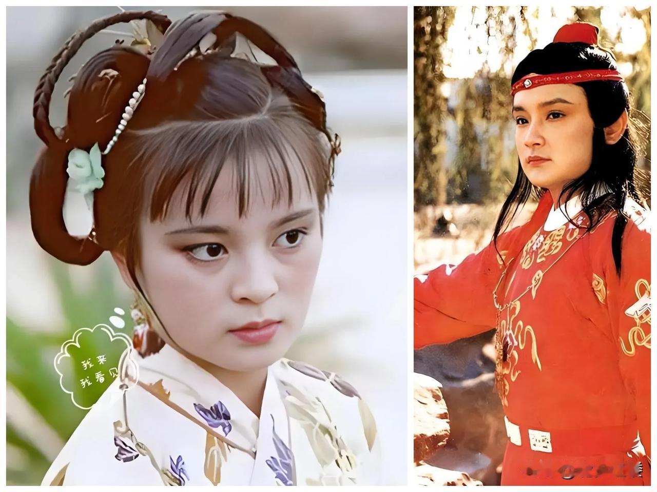 薛宝钗和袭人经常用“封建补教”那一套劝说贾宝玉，可以说她俩个在红楼梦里，便是“封