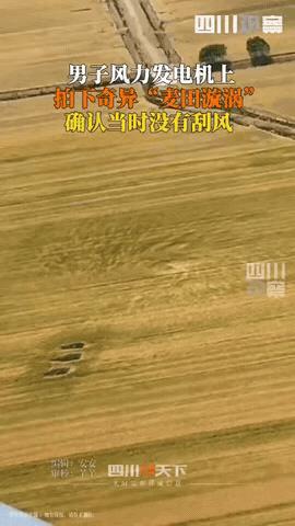 “彻底解释不清了！”安徽，男子在风力发电机上工作，突然发现下方麦田里，竟然出现了
