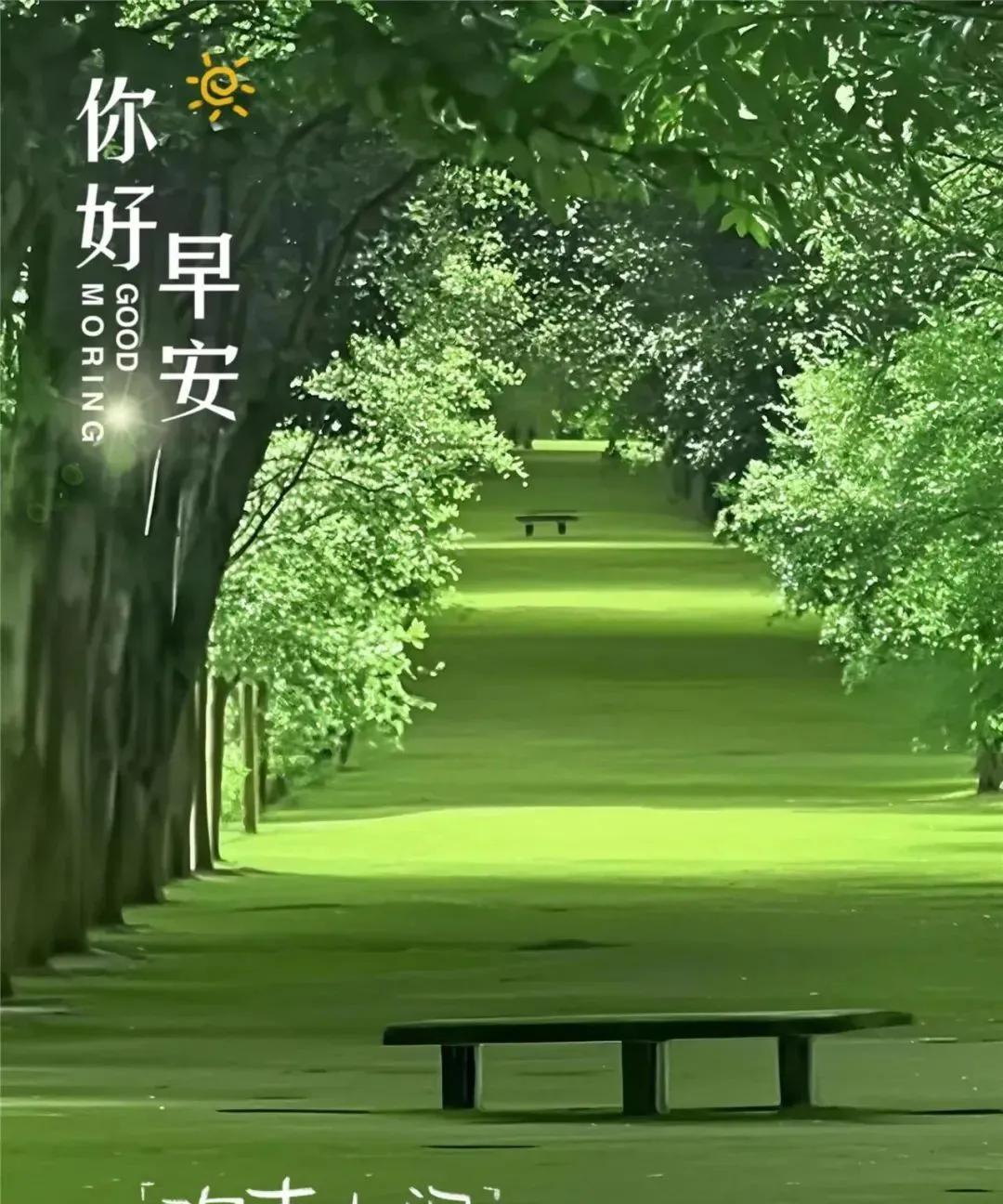 《临江仙·晨愿寄情》新日初临心意畅，愿如翠柏安康。快乐恰似水流长。暖阳柔眉