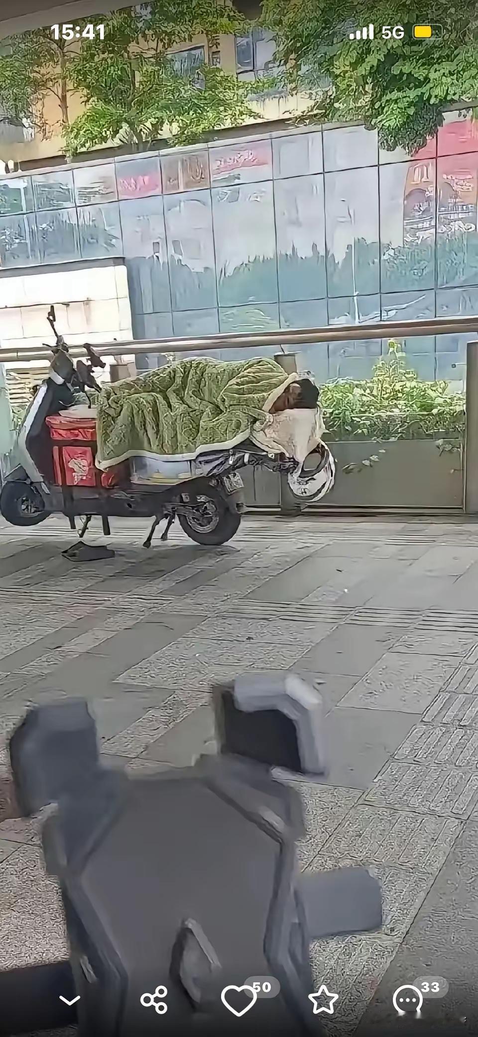 有人讨厌他，也有人同情他，不知道你作何感想？