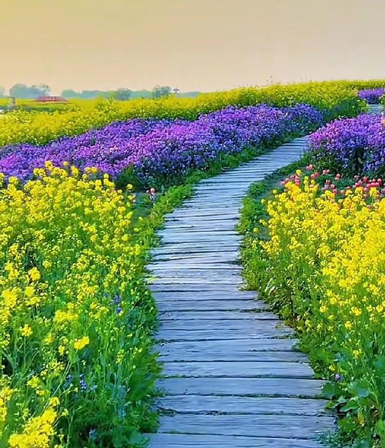 男人也好女人也罢婚后定要守住忠诚于伴侣这个底线，否则招惹杀身之祸最无辜的是孩子，