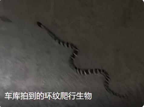 8月2日上午，陕西一位市民在社交平台发布消息，西安市航天基地天浩上元郡一期
