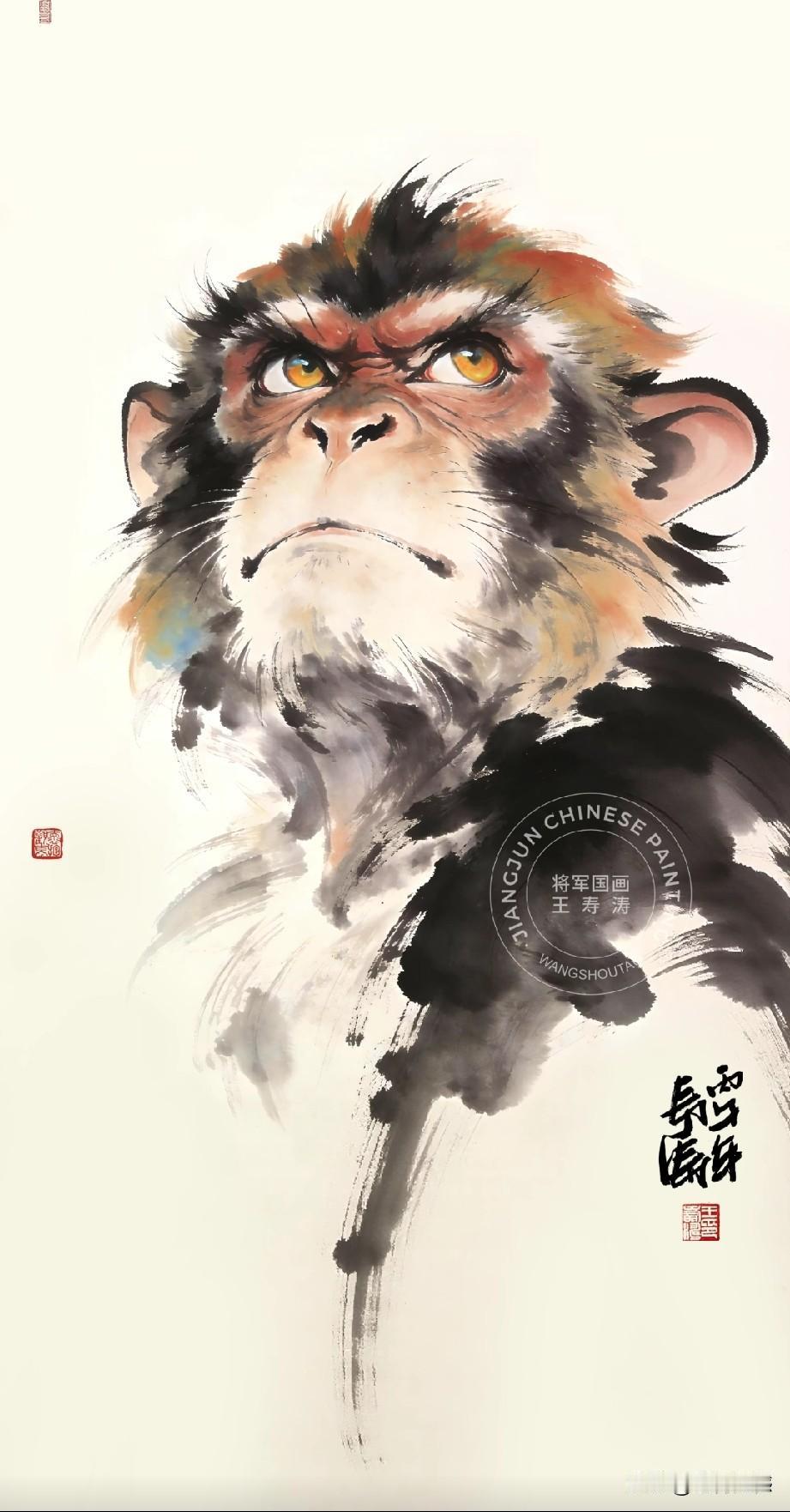 王寿涛的国画，画的真是太传神了！看它笔下的这只猴子，能够看到有筋有骨，能够看到有
