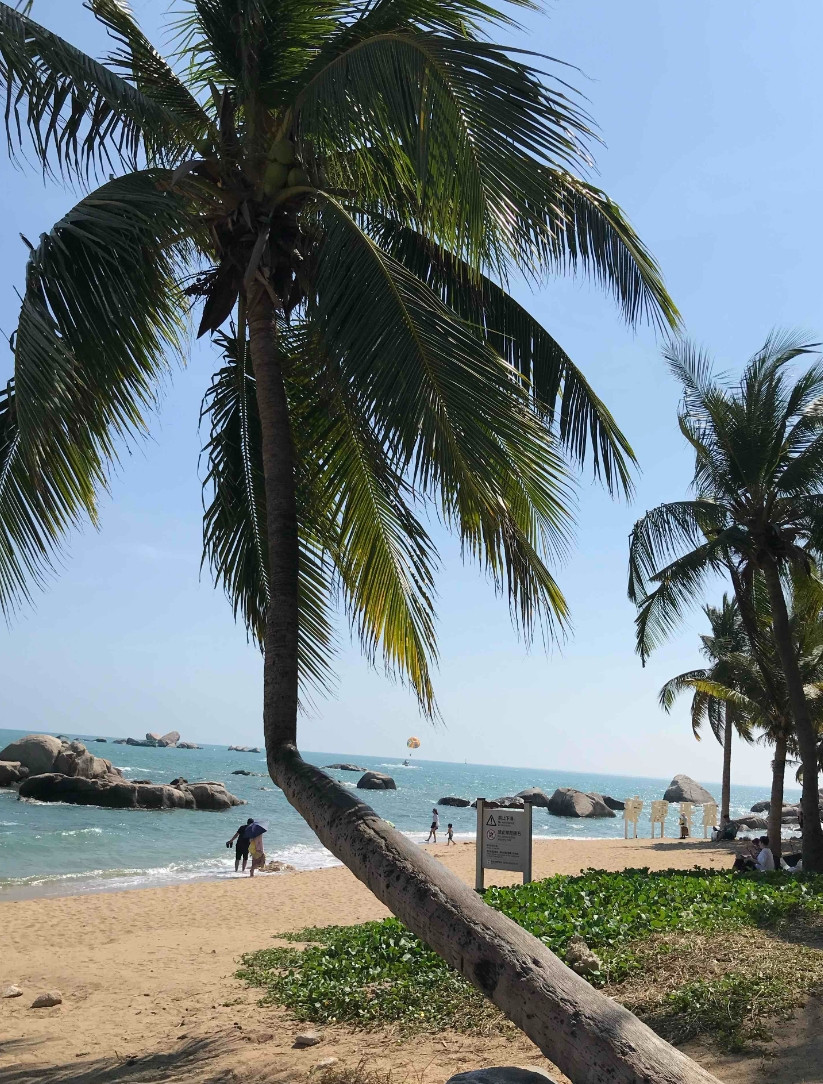 海南马上封关了那些海南买了房的人一个个高兴的不得了好像马上要变成外国人对