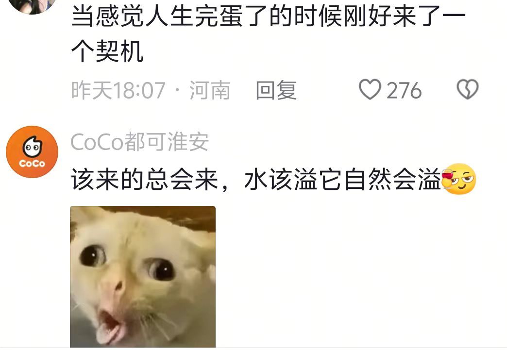 很多事情不必刻意提前安排，就是那么刚刚好