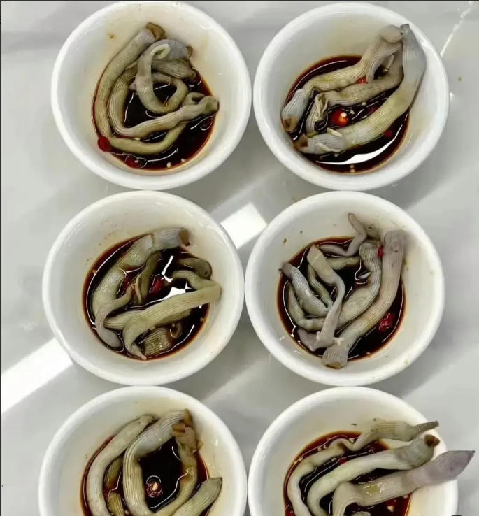 这道菜哪里的美食，谁吃过？听说挺贵的