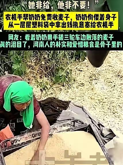 河南收麦子的时候，田头发生一件小事，看完让人鼻子发酸。收麦子得赶晴天，晚收几