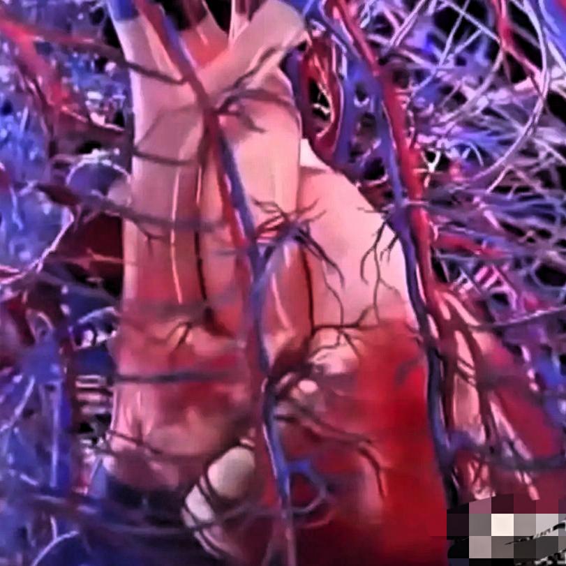 人贩子盯紧孩子？人体器官标价触目惊心，家长警惕刻不容缓！看完这些数据，浑身