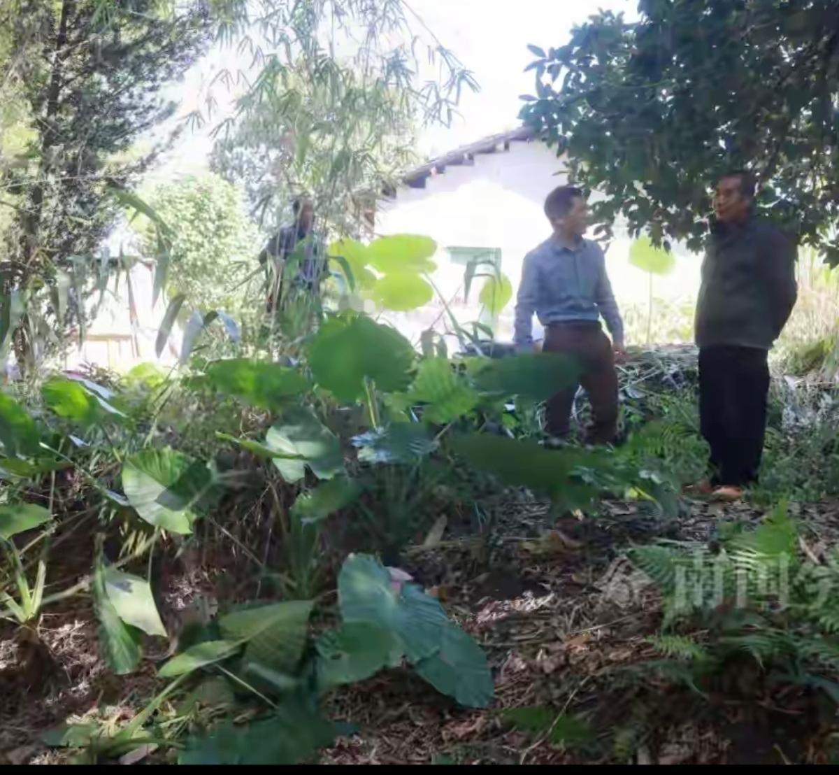 谁能想到挖蚯蚓钓个鱼，居然挖出了千年前的“重量级宝藏”！柳州大叔这一锄头下去，刨