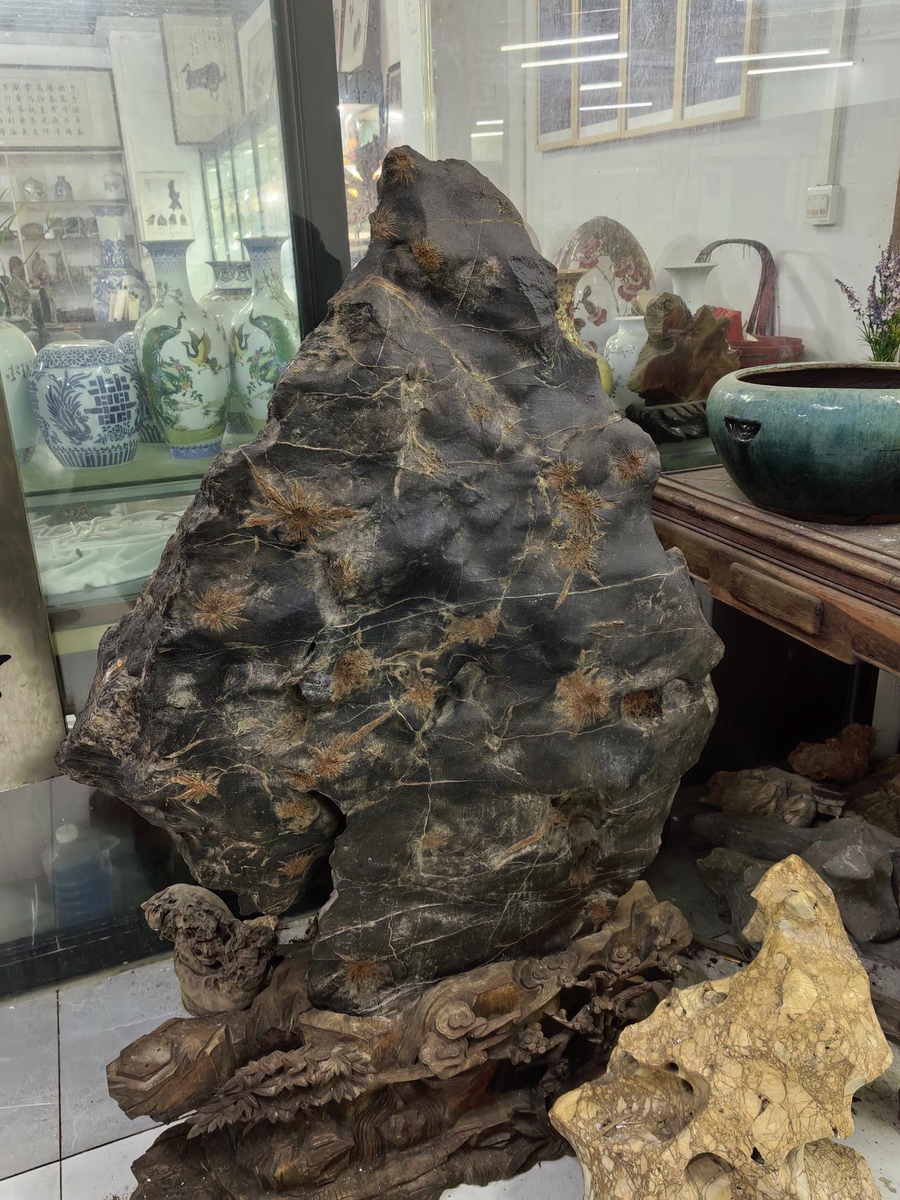 收藏收藏菊花石是个超有趣的事儿。菊花石分布在中国南方多地，像湖南、广西、江苏、