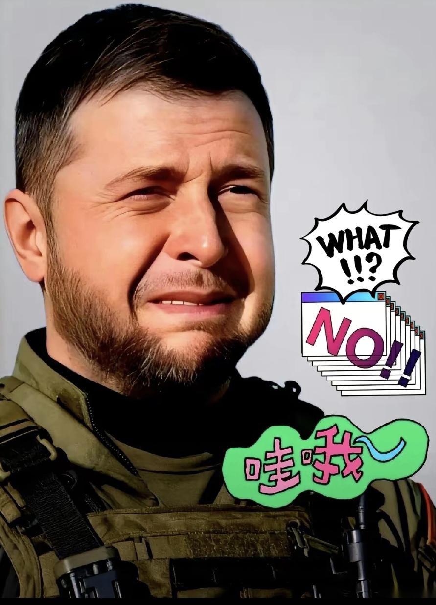 突发！乌克兰总统紧急官宣11月14日，乌克兰总统泽连斯基在官方社交平台紧急