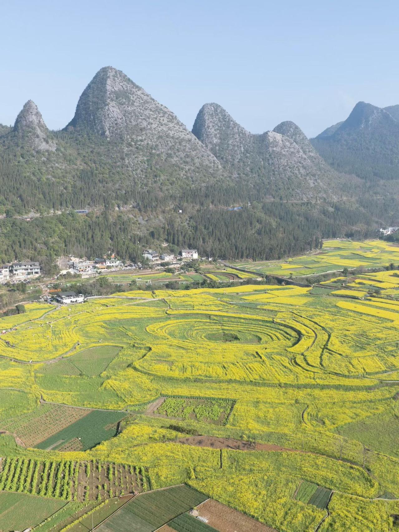 今天除夕，A股放假。正是因为放假，不开盘，不同人的就会有不同的想法，对股市的态度
