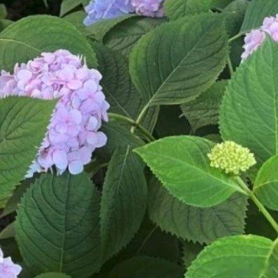 每日一善‎每日一善信心锻造伟业，信念燃烧激情，欲望产生希望；有梦想的人生才是完
