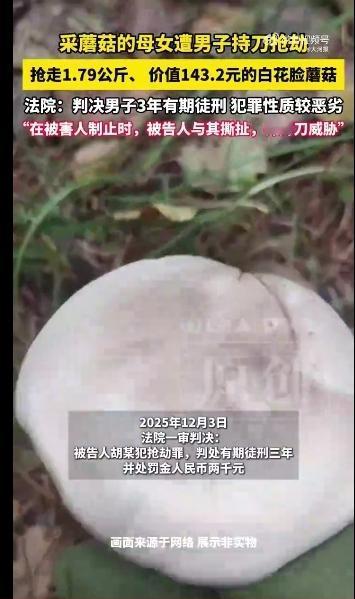 胆大包天，无法无天！2025年8月，内蒙古呼伦贝尔草场旁，母女采蘑菇时遭胡某抢