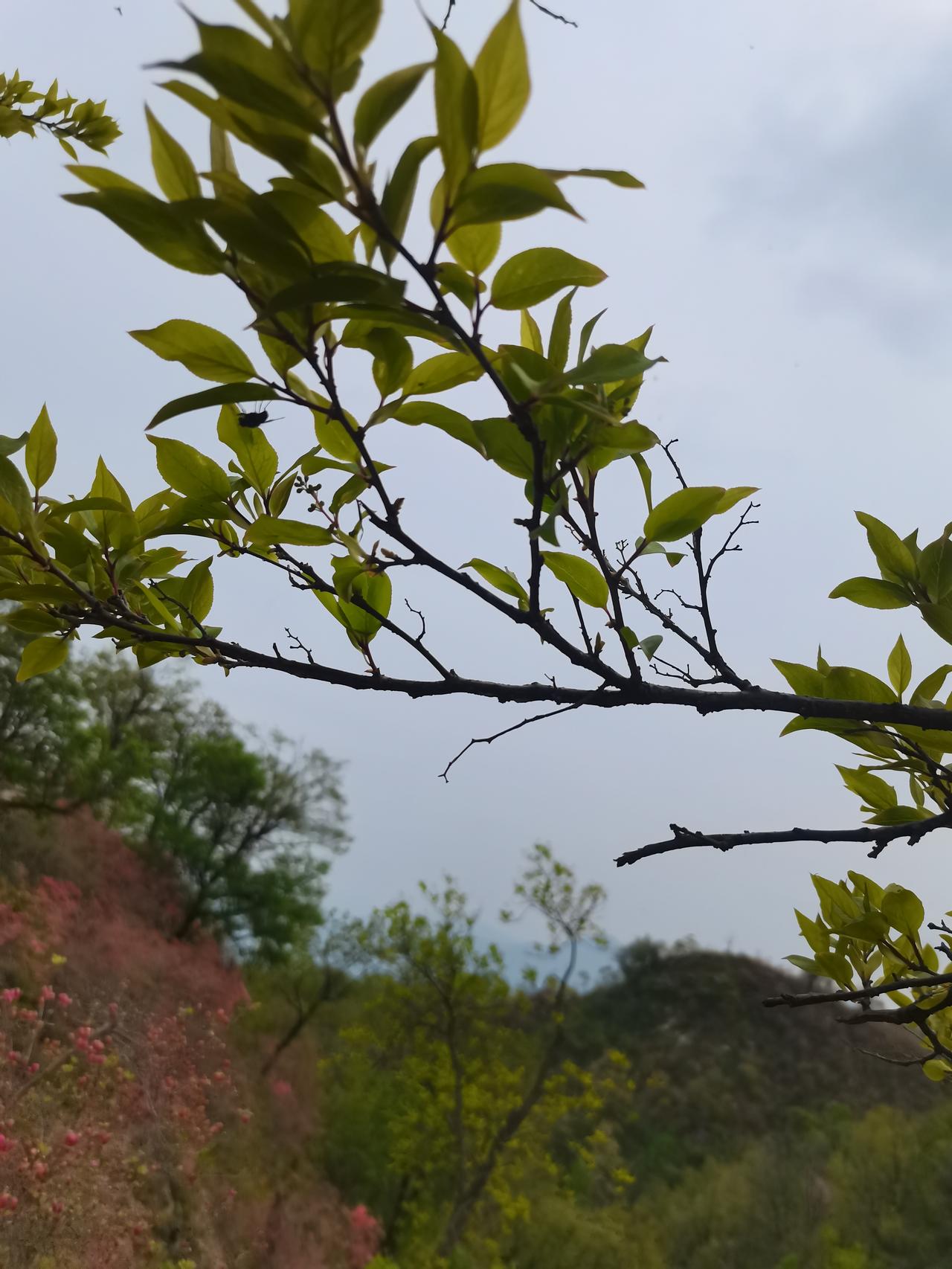 王奶奶今年六十八，老伴走了五年。她退休金不多，但够花，每月还能攒下几百块。街