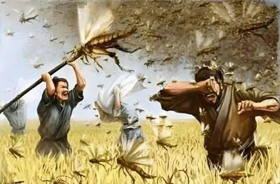 古代遭遇蝗灾饿死人，为什么没人吃蝗虫？其实古人早就想到了公元785年，唐朝贞