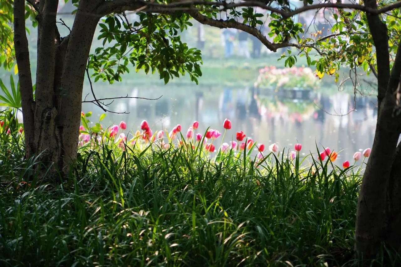 昨晚和孩子聊天，马上就要考试了，孩子难免有压力，况且他又想考出好成绩，压力自然更
