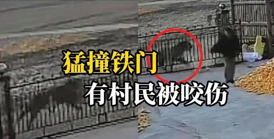 “最绝望的死法！”3月22日，吉林延边，一村民晚上准备睡觉，忽然听到院外传来几声