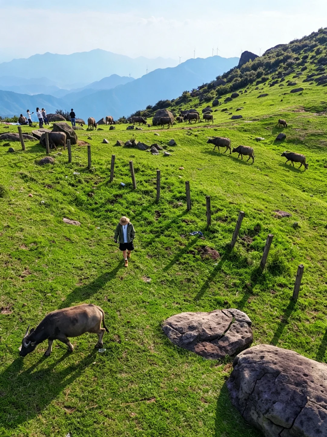 相比武功山，我更爱这座免费又治愈的千岁丘