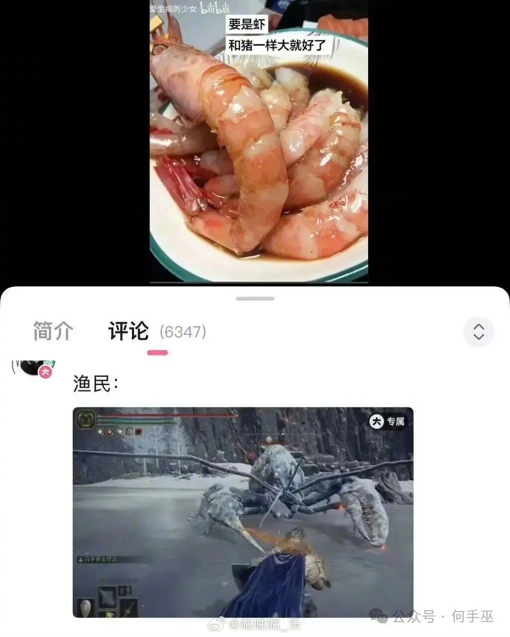 谁家猪能有这么大啊？