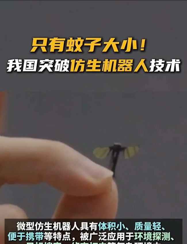 6月14日，我国官宣蚊子机器人问世，这还怎么玩？真替我们的敌人冒冷汗！机器人不是