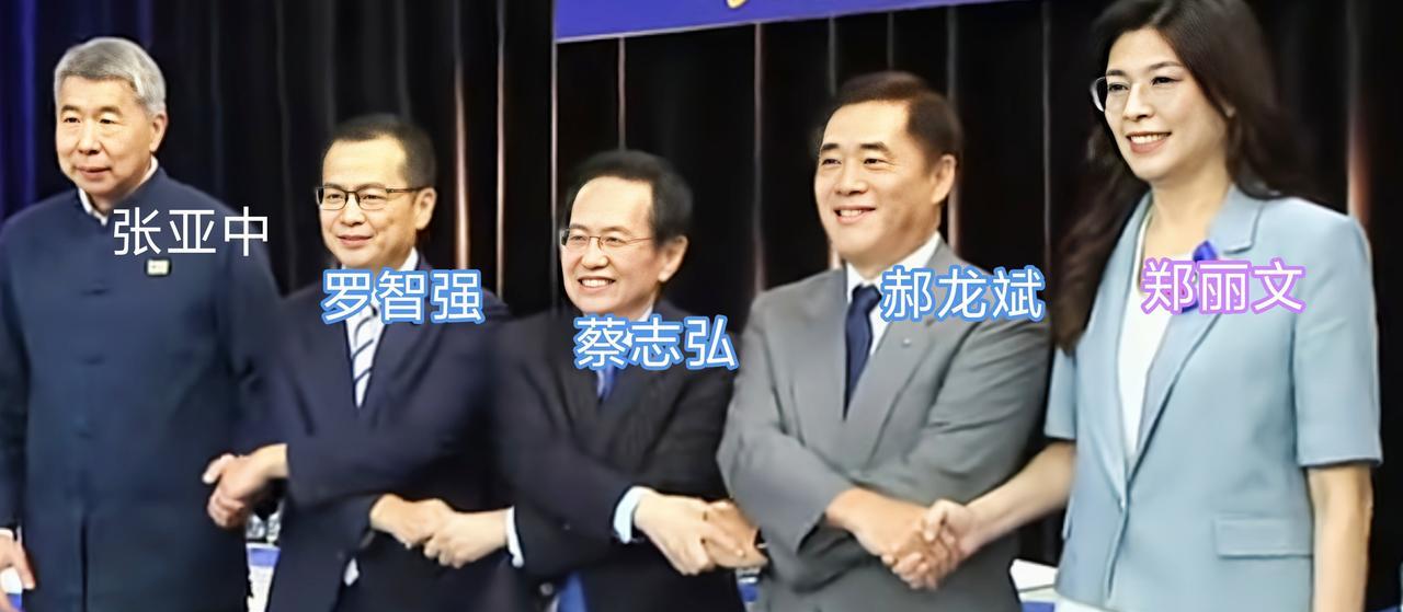 张亚中：你们天天在拖，天天在混，天天在骗老百姓。张亚中还说了更重的话，他认为国
