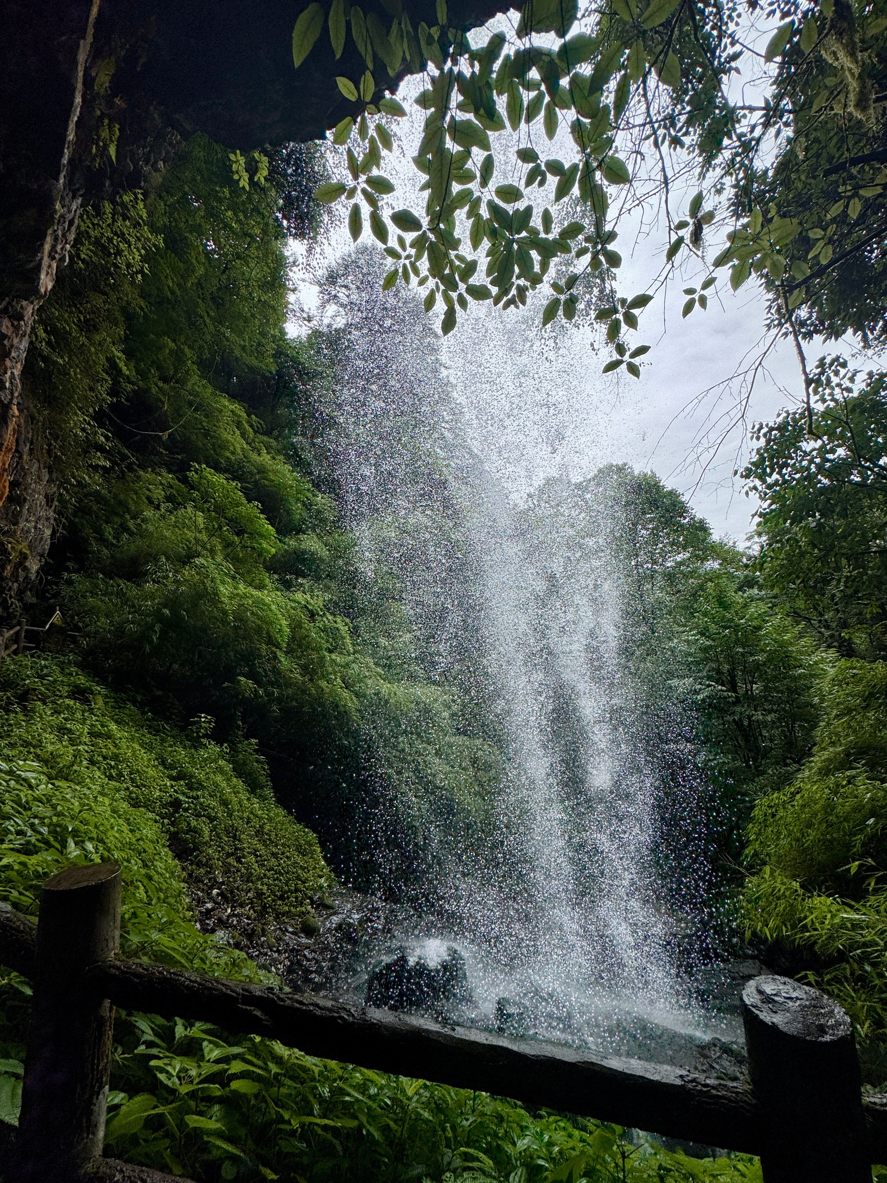 夏天的绿意落在山林间🍃​​​