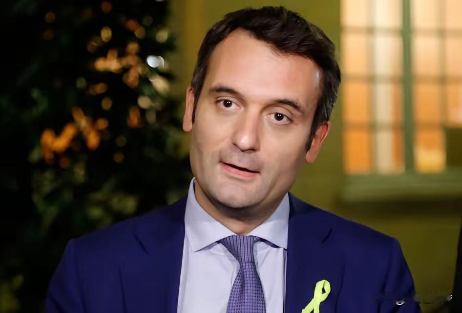 冯德莱恩遇到大麻烦了，法国不想忍了，法国右翼政党“爱国者”领导人菲利波放出狠话，