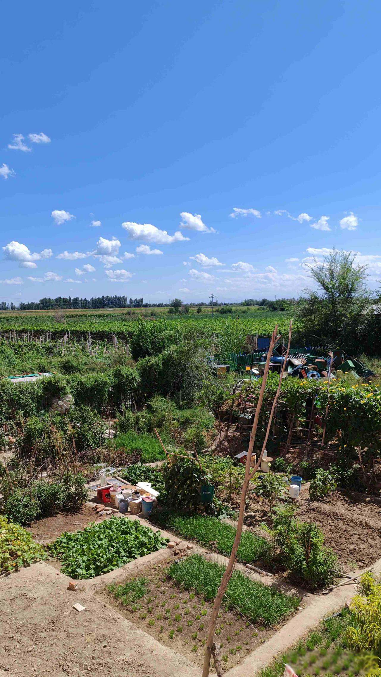 新疆退休金5071元：真香福利还是数字陷阱？一文揭秘老李在新疆工作了四十三年