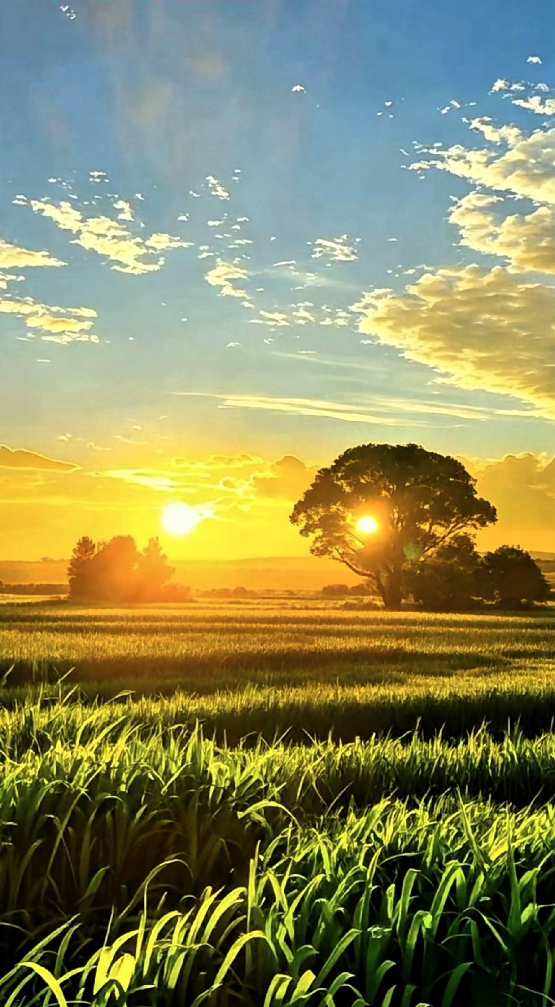 安静，是一个人顶级的修行。我们总在追着时间跑，却忘了给自己留片刻安静。浮