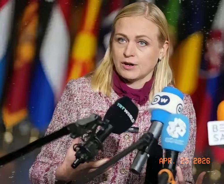 芬兰女外长发表极端对华言论，公然逼中国二选一！中方硬气回应！4月22日，芬兰外长