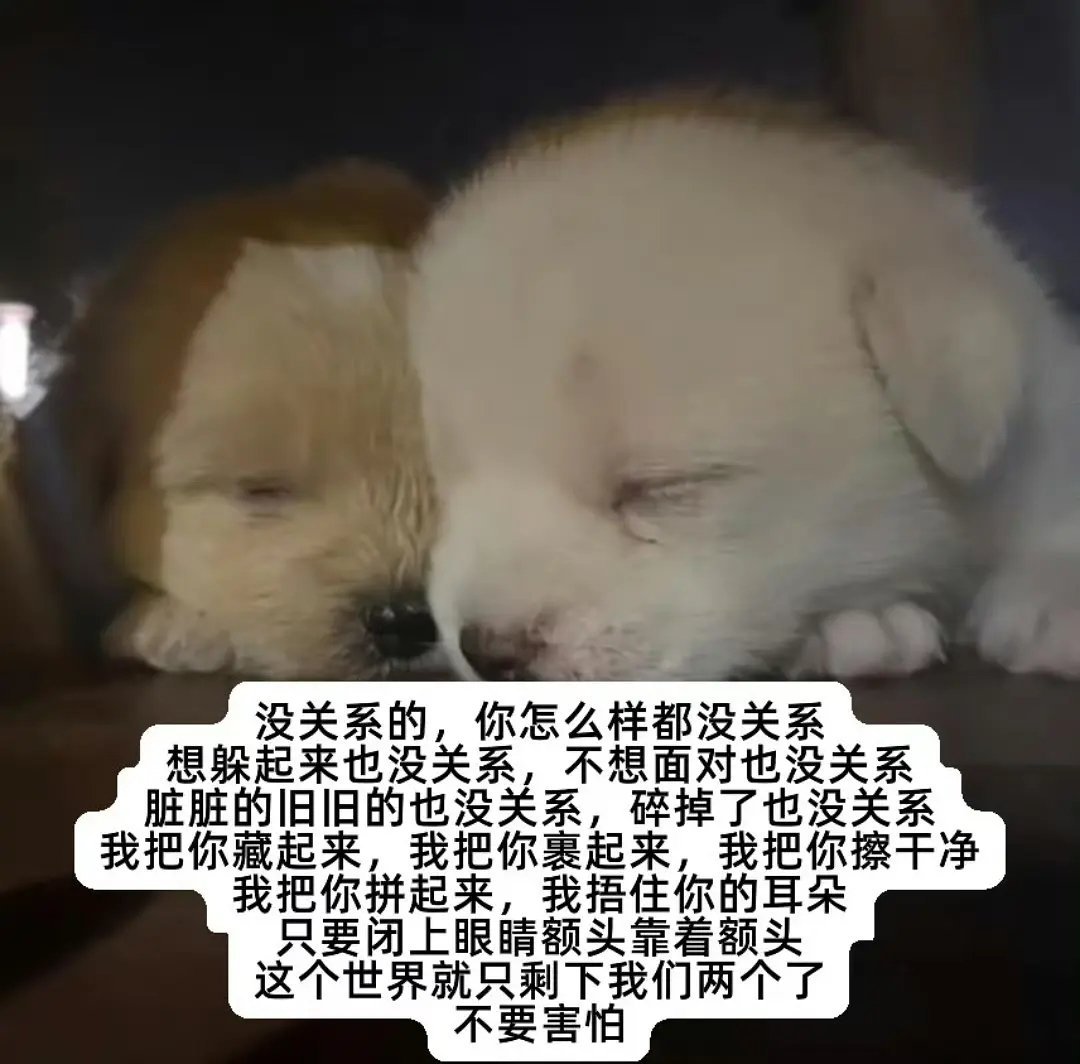 哥哥背影好烧