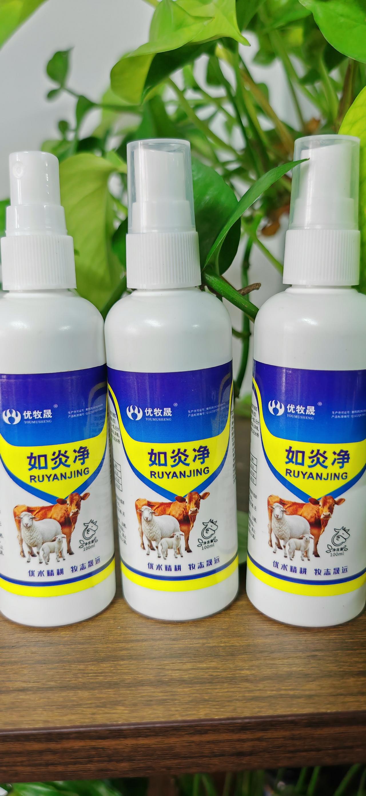 养羊人牛羊养殖农村养羊