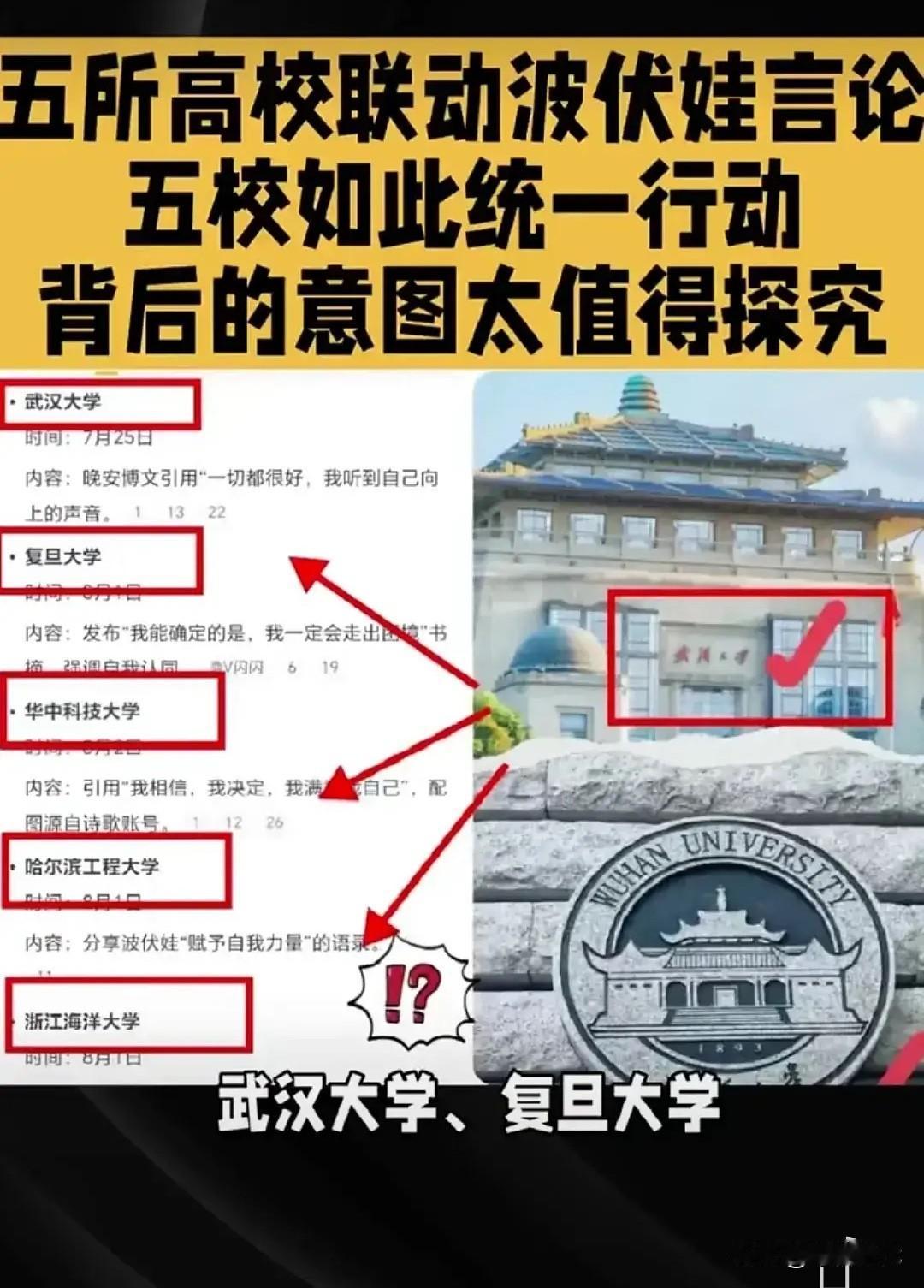 波伏娃吹响集结号！几所名校官博齐刷刷放出波伏娃那句话，80万杨派群聊曝光。杨某某