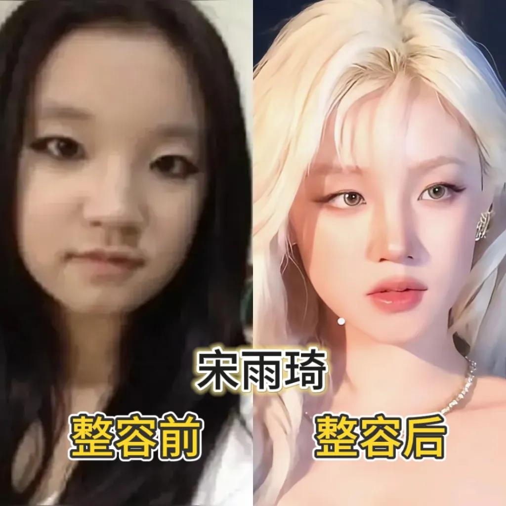 整过容的张俪。整容后的谢楠。整容后的柳岩。整容后的李冰冰。整容后的沈梦辰