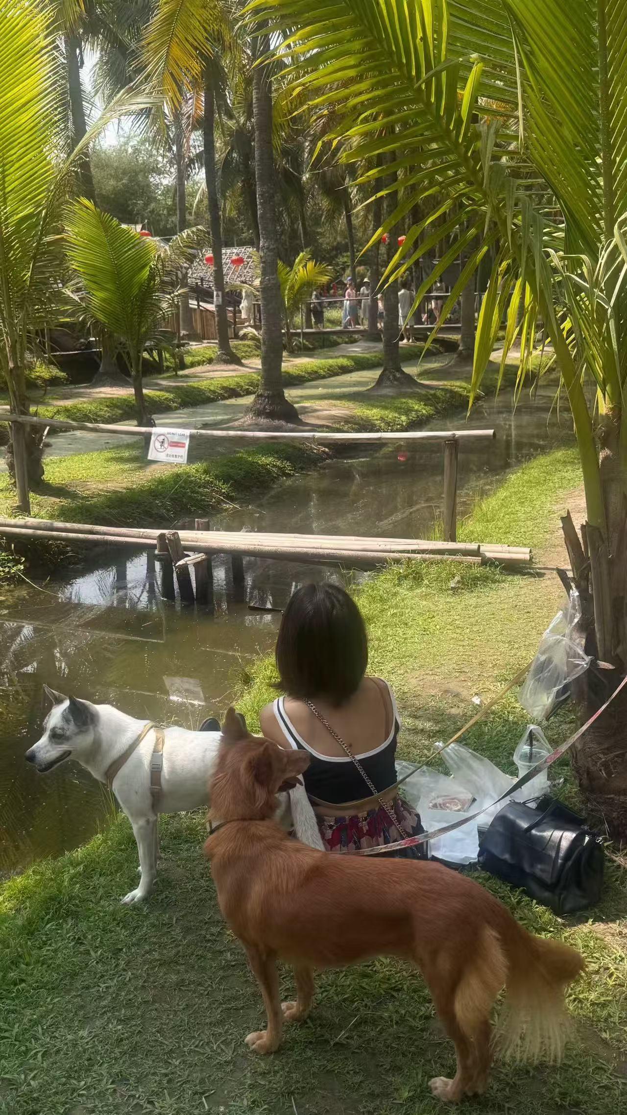 中年人的低欲望，真是恐怖到令人发抖！​过年就7天了，我竟然啥也没干，啥都没买。