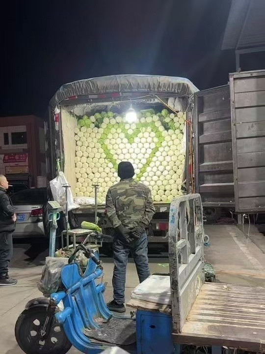 装运白菜，平凡的工作一样也可以如此用心这是对生活的热爱，对工作的执着！晚安！男子