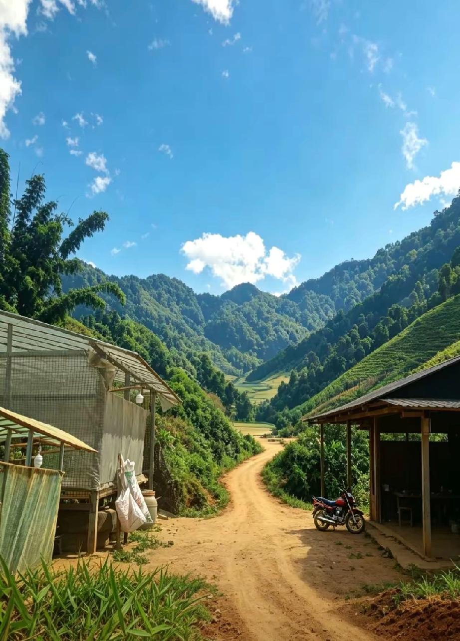 极具讽刺的一句话：“现在每个单位的牛马都有一条狗管着，狗上班啥也不干，就盯着牛